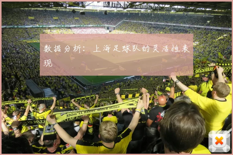数据分析：上海足球队的灵活性表现