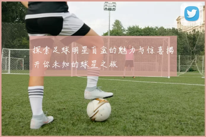探索足球明星盲盒的魅力与惊喜揭开你未知的球星之旅