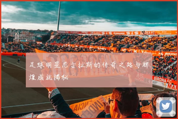 足球明星尼古拉斯的传奇之路与辉煌成就揭秘