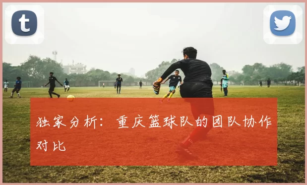 独家分析：重庆篮球队的团队协作对比
