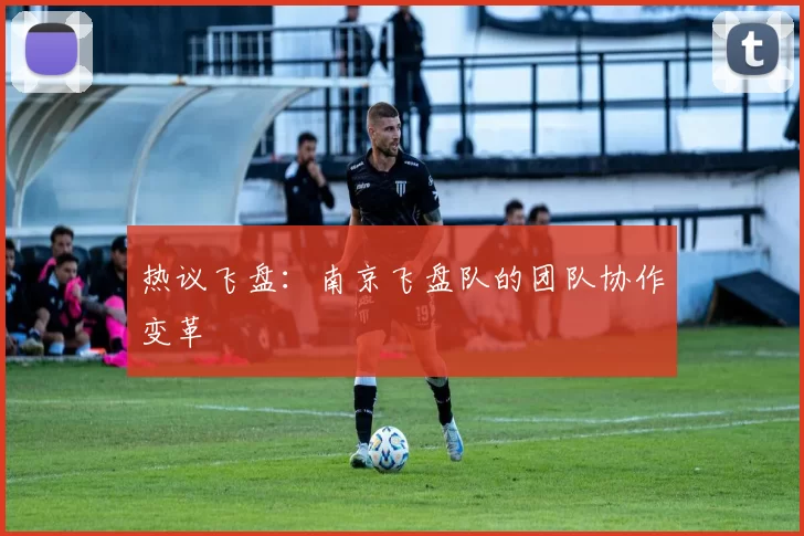 热议飞盘：南京飞盘队的团队协作变革